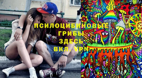 мяу мяу мука Аркадак