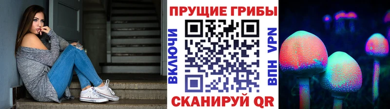 наркота  Багратионовск  Псилоцибиновые грибы прущие грибы 